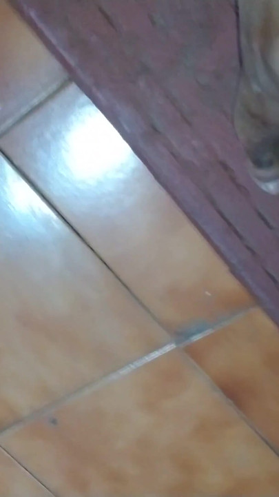 India Gay Small Dick Cumshot
