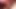 Doggystyle and creampie in great detail with a macro lens