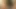 Amazing German lesbians fingering one another in the woods