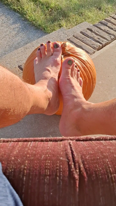 Peter pumpkin feeter