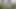 Horny dude needs to cum in the woods