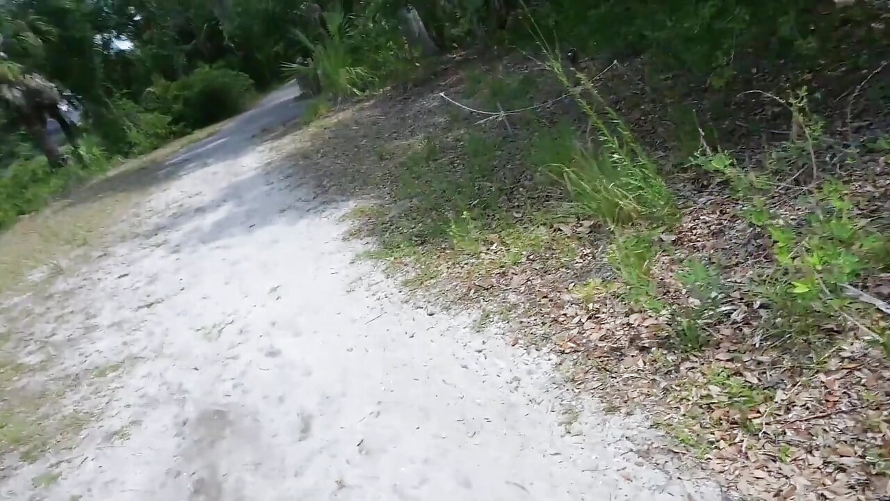 Full Day Video