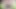 Kanroji (kny)