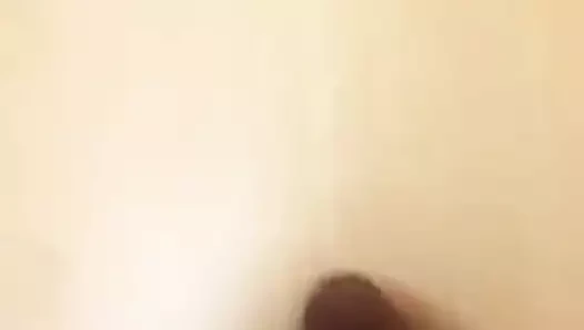 ZobrY