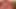 Dildoyla arkadan sikilmeyi ve seni izletmeyi istedim