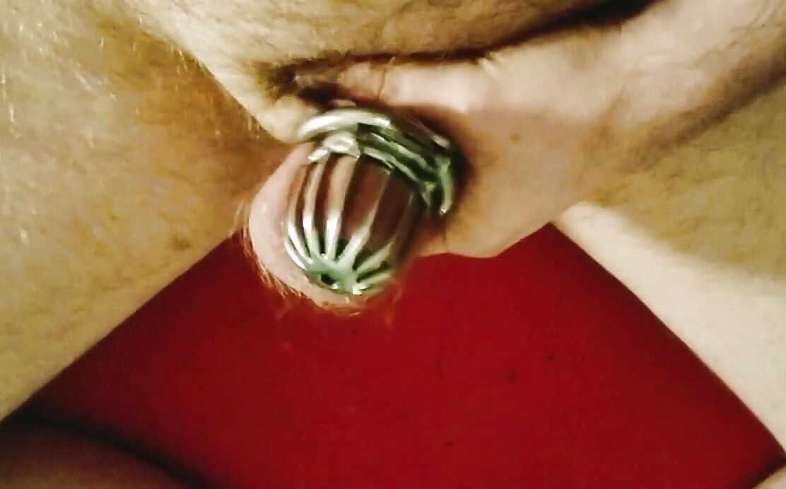 Ginger Chastity Otter try to cum locked in a Cockcage