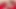 Red Veil Pixie Harem Whisper - Graceful Strip to Doggy Ecstasy