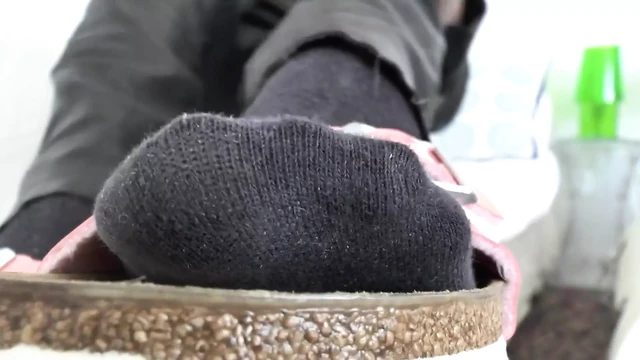 Celebrated Sock Love, Show Your Love for Your Sock Owner, POV, JOI