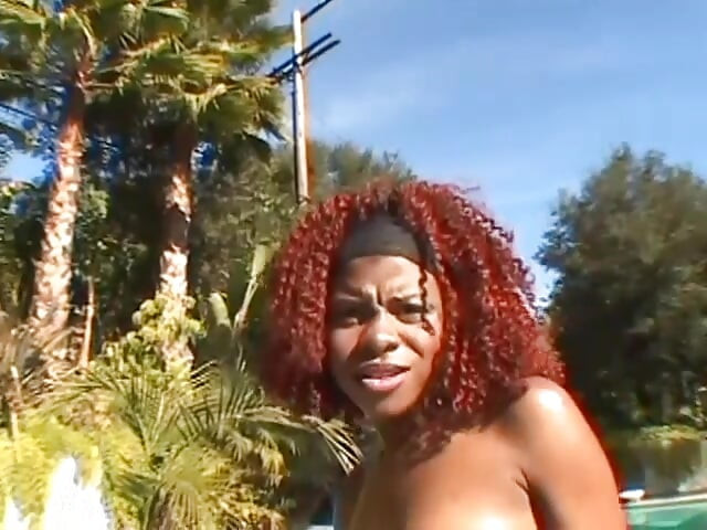 Два огромни кура за черна мацка