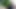 I masturbated on top of a tree at the request of a fan