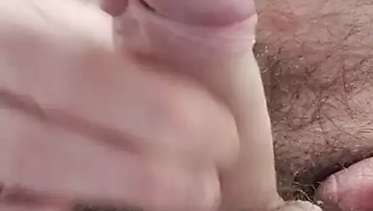 fışkıran tohum