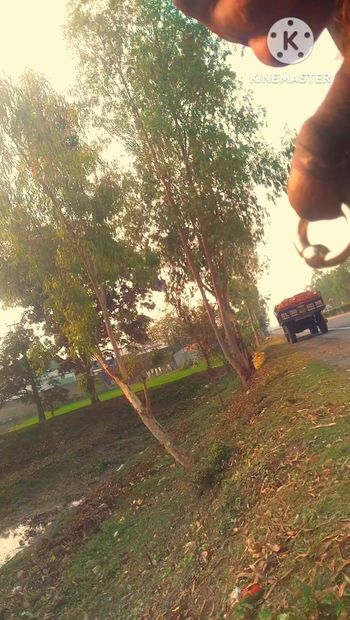 屋外で放尿するヌードライオンマン。インドのピアスディック。