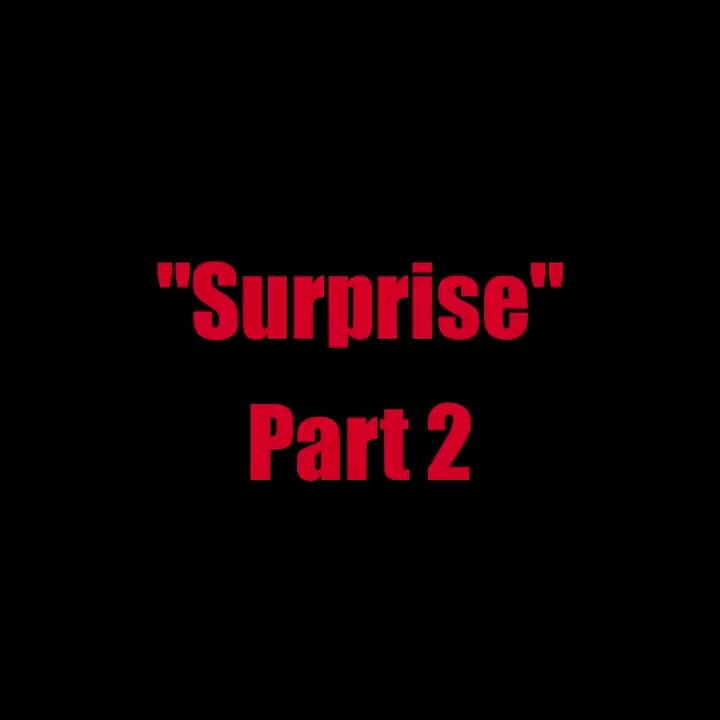 Surprise Chapter 2