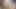 Exclusive Taboo POV Deepthroat Live Performance