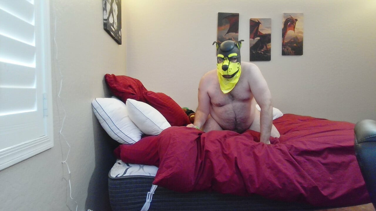 I was bored and horny so slipped into pup mode and played with the bone