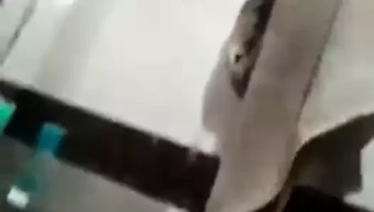 Gam bijja