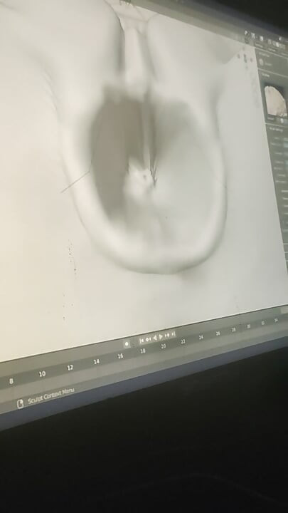 animation verification 1