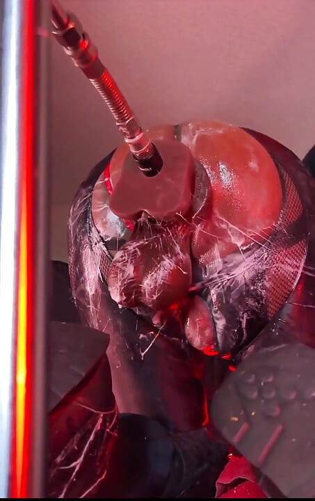 Intense Creamy Fuck on the Butt Machine - Gaping and Farting Bubbles