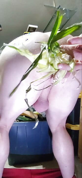It's Harvest Season