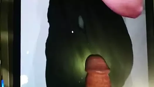 Döl düzgün vücutlu