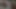足を愛する奴隷