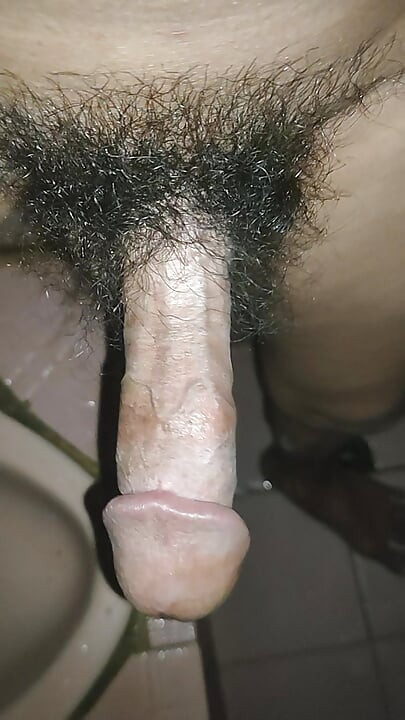 Javanese Dick