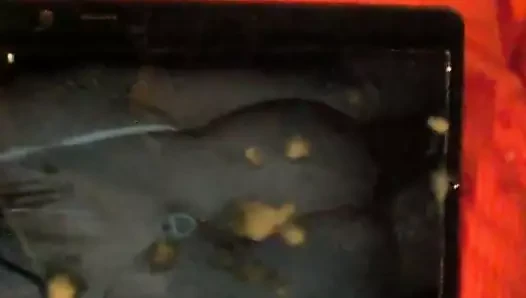 Yaz cummings için haraç