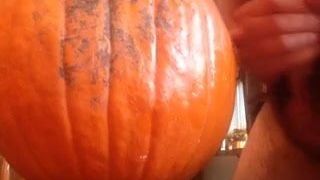 Pumpkin fuck