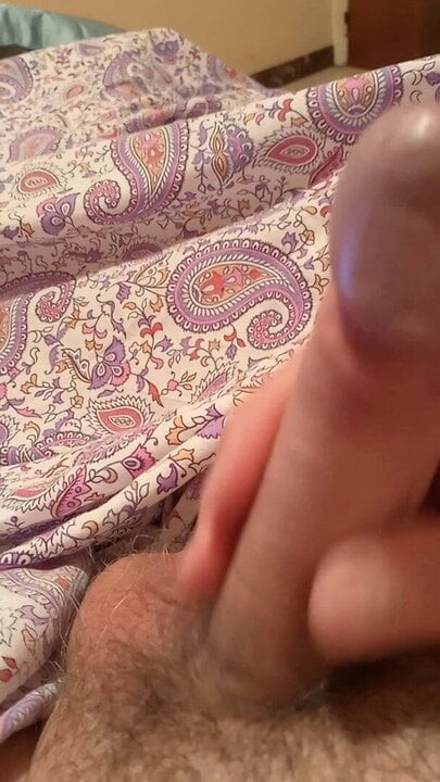 mi polla