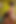 美しい成熟した女性が継息子を誘惑する