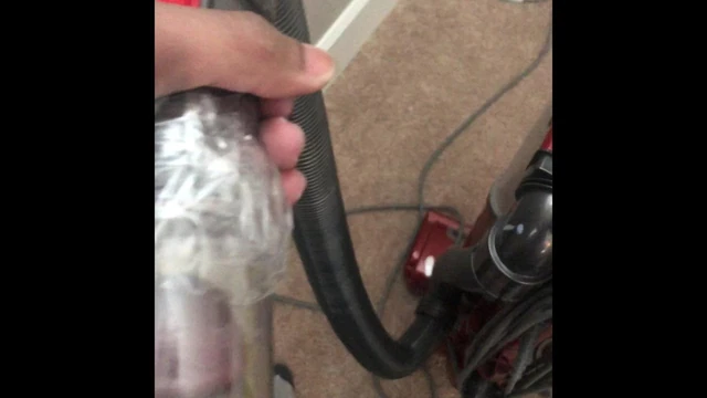 Shark vacuums always make me cum