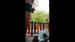 Pregled videozapisa