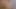Büyük memeli Ukraynalı ledona