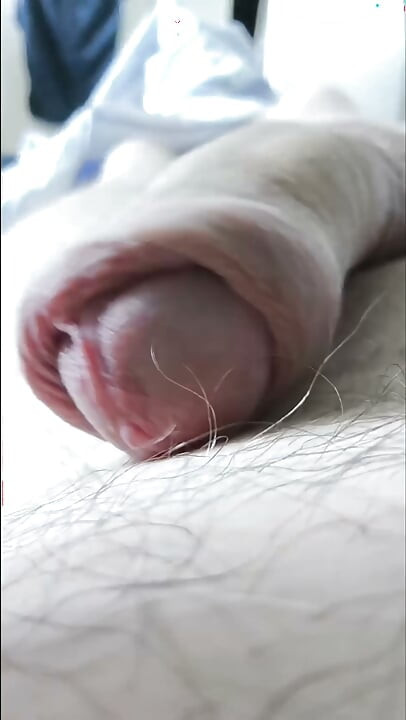Camera Flight Over the Bear's Hairy Belly