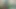 Büyük götlü Tamil gerçek çift seks videosu