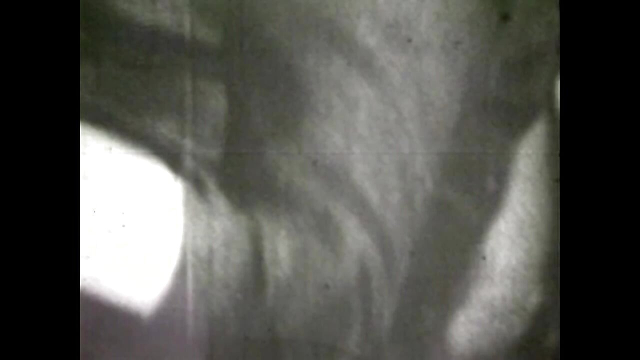 الجنس لا يتغير أبدا