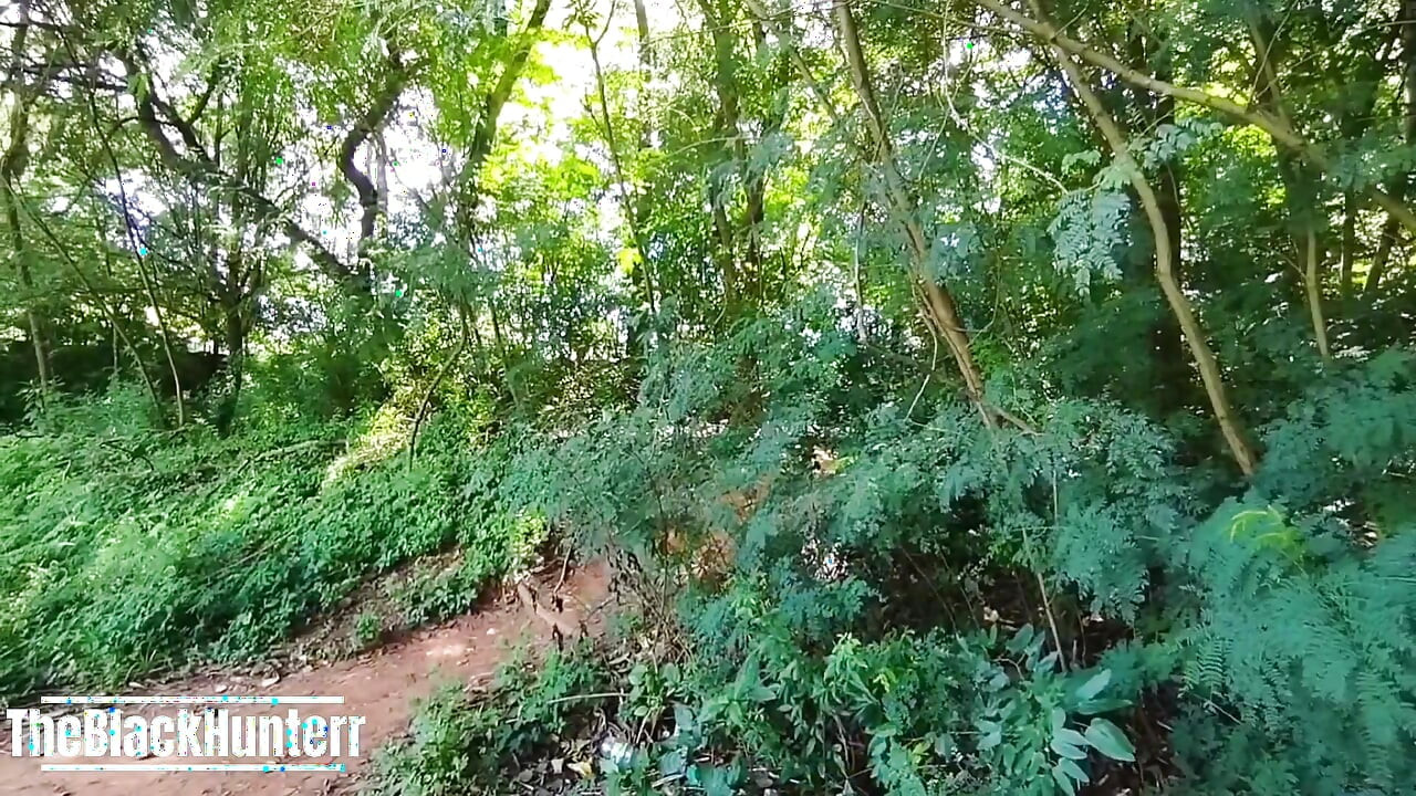 Passenger Caught the Bus Driver in the Woods