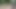 Jerking outdoor with cumshot in the forest 01