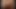 BBW Compilation Animation