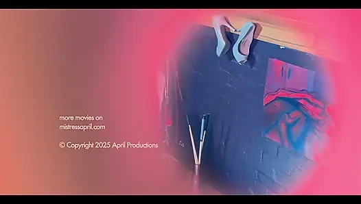 Köpek Bruno yürüyüş için gidiyor derleme fragman