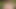 masturbation in the field