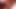 Doggystyle and creampie in great detail with a macro lens