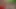 Plump Lips on a Plump Pussy. 4K HD Tim Team
