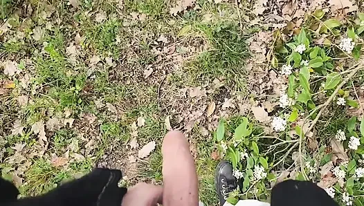 Jogging in the Forest
