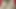 Bhabhi ko muha pela,xxxx xxxx xx six siy