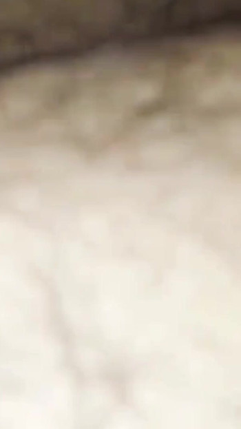 “继母和继子啪”的情感时刻