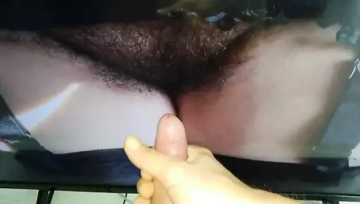 haraç beakokin 2