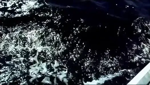 Kayıp orgazmı arıyor - dvd