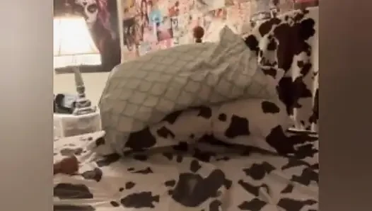 The fat cat compilation