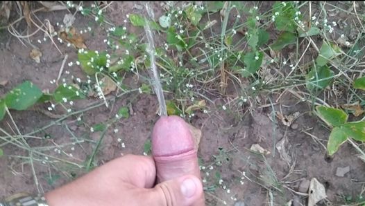 I squirted with all my might after masturbation in the cornfield.